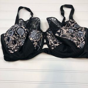 Sophie Theallet for Cacique bra